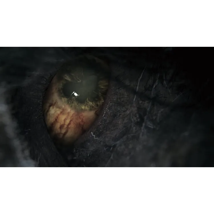 خرید بازی Bloodborne نسخه Game of the Year  برای PS4