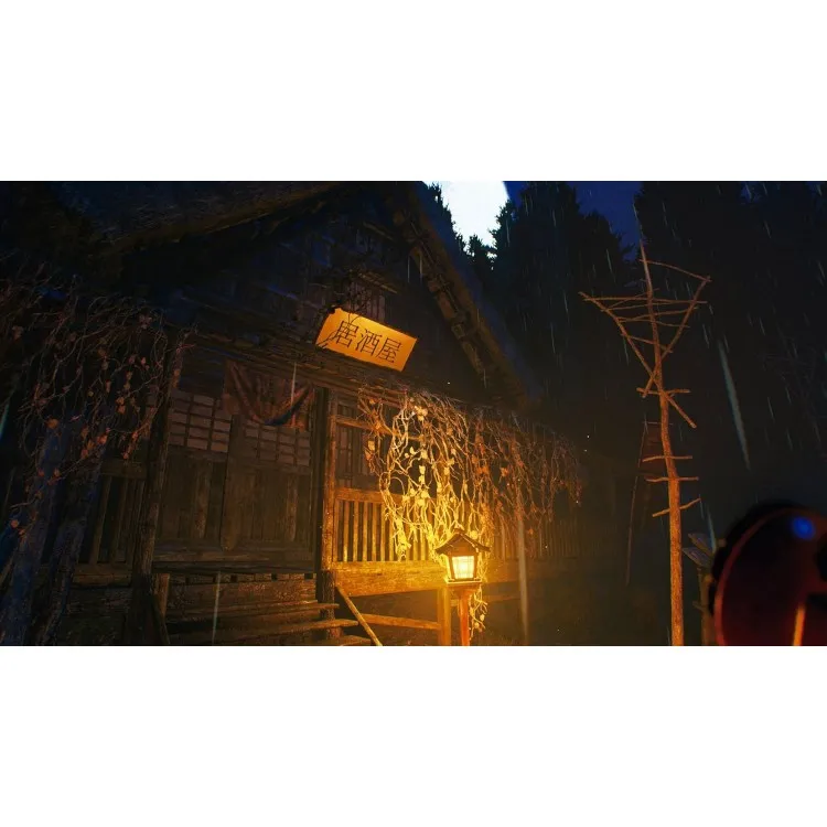 خرید بازی The Sinking Forest برای PS5