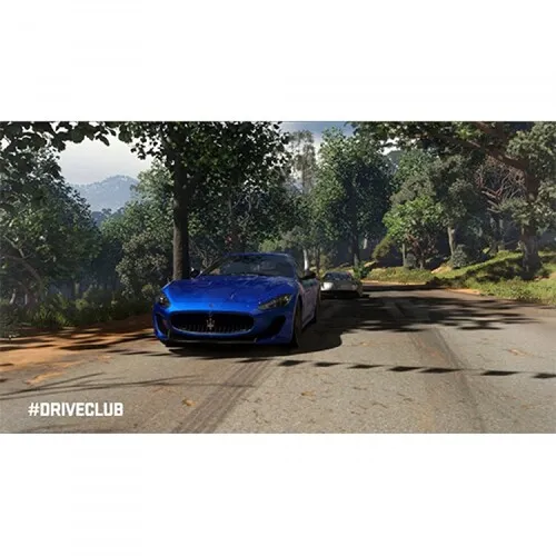 Drive-club-ps4-2.webp