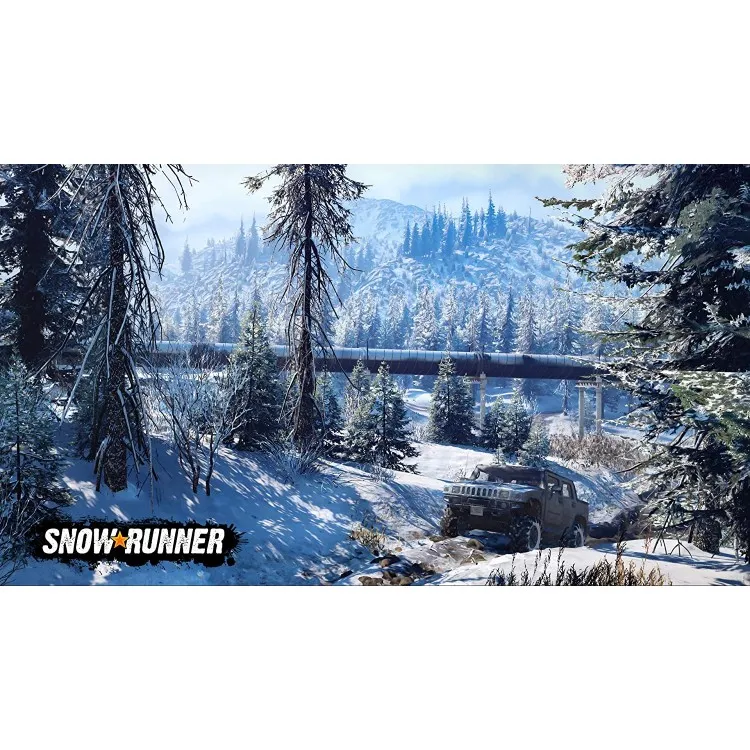 Snow1