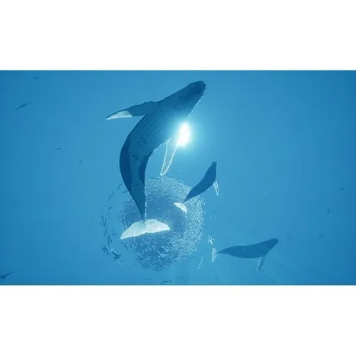 abzu-ps4-1.webp