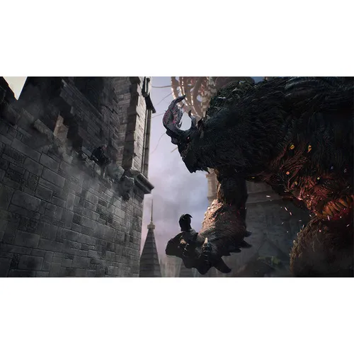 dmc51.webp