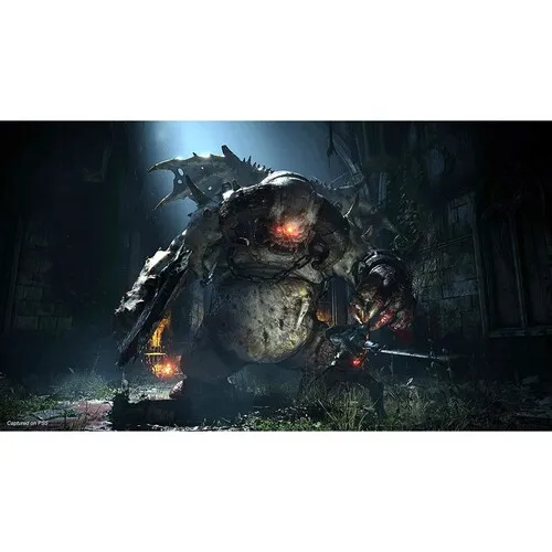 ds2-1.webp