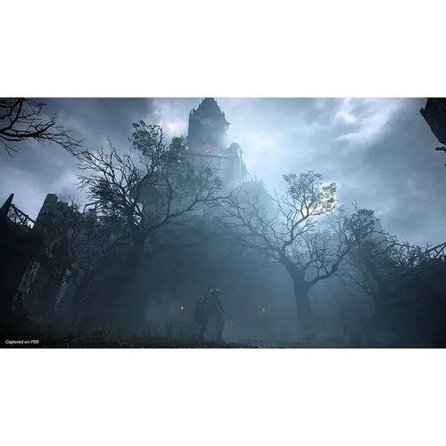 ds3-1.webp