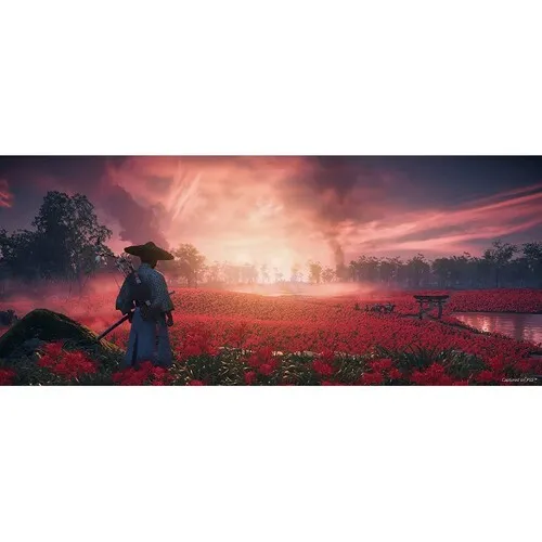 ghost-of-tsushima-directors-cut-1.webp