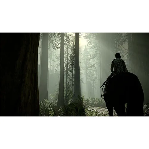 shadow-of-the-colossus-ps4-2.webp