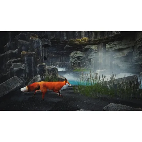 spirit-of-the-north-ps5-2.webp